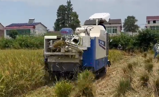 炎炎夏日，东风井关半喂入收割打捆一体机不惧高温，表现出色！