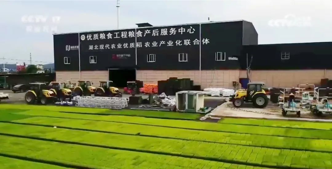 1 (2).jpg 2.jpg