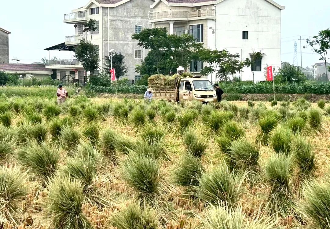 微信图片_20230727143702.jpg 11.png