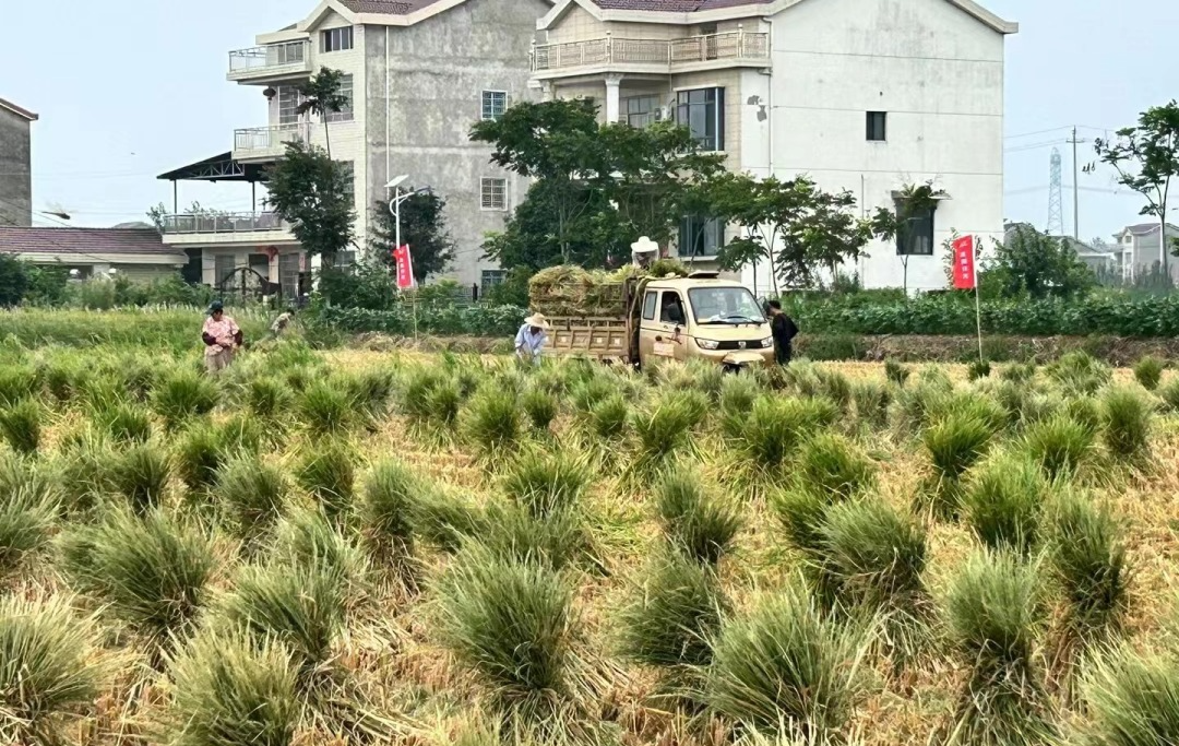 微信图片_20230829141843.png